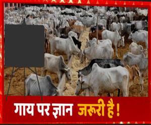 'गौ माता' के बारे में कितना जानते हैं आप ?, जल्द सरकार लेगी परीक्षा | Mudde Ki Baat 