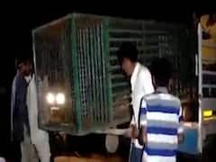 અંકલેશ્વર: અવાદર ગામે દીપડાએ બકરી પર કર્યો હુમલો, ગ્રામજનોમાં ભયનો માહોલ