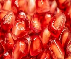 डाळिंबाला प्रति किलो 552 रुपयांचा भाव, फटाक्यांची आतषबाजी करत शेतकऱ्यांचा जल्लोष