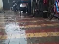 છોટા ઉદેપુર, બોડેલી, નસવાડીમાં વરસાદ, ખેડૂતોની ચિંતા વધી, જુઓ વીડિયો