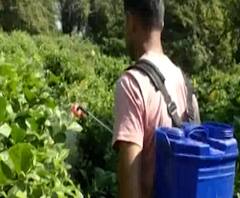 शेती जगत | मोगरा लागवड निधीत भ्रष्टाचार? शेती क्षेत्रातील घडामोडींचा वेगवान आढावा