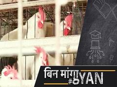 H1N1 Virus Spreads In India, What Are The Symptoms Of Bird Flu? Alerts Issued From Himachal To Kerala