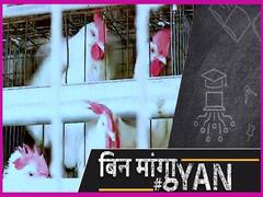 अंडा और चिकन खाने से नहीं होता है बर्ड फ्लू, भारत के 9 राज्यों में एवियन इन्फ्लुएंजा की पुष्टि | Uncut