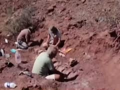 अर्जेंटीना में मिला डायनासोर का कंकाल