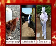 Bird Flu In Maharashtra | राज्यात बर्ड फ्लूचा वेगाने प्रसार; अनेक जिल्ह्यात अंडी-चिकन वाहतुकीवर बंदी