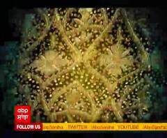 Guru Gobind Singh Ji ਦੀਆਂ ਪਟਨਾ ਸਾਹਿਬ ‘ਚ ਮੌਜੂਦ ਇਤਿਹਾਸਿਕ ਵਸਤਾਂ ਦੇ ਦਰਸ਼ਨ