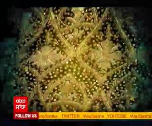 Guru Gobind Singh Ji ਦੀਆਂ ਪਟਨਾ ਸਾਹਿਬ ‘ਚ ਮੌਜੂਦ ਇਤਿਹਾਸਿਕ ਵਸਤਾਂ ਦੇ ਦਰਸ਼ਨ