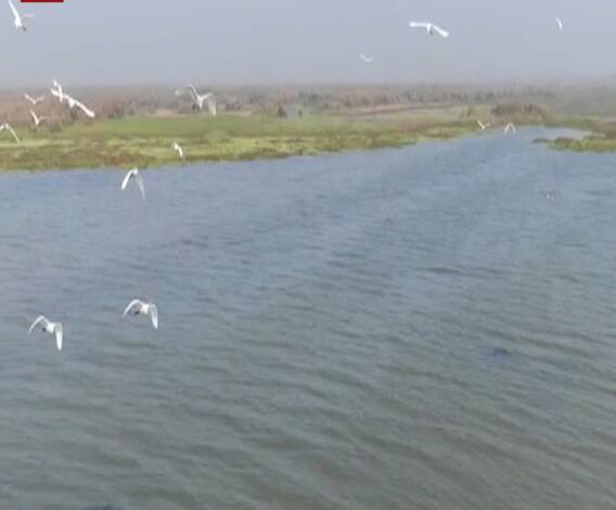 Bird Flu Alert: मरे पक्षी मिलने से मचा हड़कंप, अब ड्रोन से हो रही नदियों की मॉनिटरिंग | ABP Ganga 