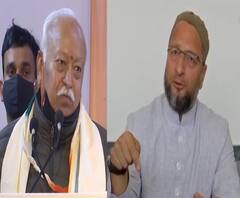 भागवत म्हणाले, 'हिंदू आहे म्हणजे देशभक्त असणारच', ओवैसींनी विचारलं, 'गोडसेंबद्दल काय विचार आहे?'