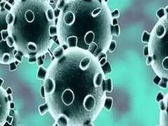 India में कब से लगनी शुरु होगी Coronavirus Vaccine? देखिए- PM के प्रधान वैज्ञानिक सलाहकार का जवाब