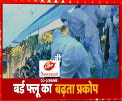 लगातार फैलता जा रहा बर्ड फ्लू का खतरा, यूपी में भी दस्तक ! | Bird Flu | ABP Ganga 