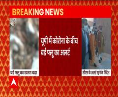 कोरोना के बीच बर्ड फ्लू का अलर्ट, CM Yogi Adityanath ने दिए ये निर्देश | ABP Ganga 