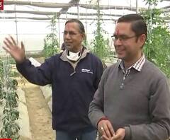 MNC में लाखों की नौकरी छोड़ खेती करने लगे चाचा-भतीजा, कमाई भी अच्छी | ABP Ganga 