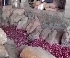 शेती जगत | सोलापूरमध्ये कांद्याची आवक वाढली,कृषी उत्पन्न बाजारात 580 गाड्या कांदा,कांद्याचे दर स्थिर