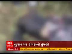 ગીર સોમનાથના વિઠ્ઠલપુરમાં માનવભક્ષી દીપડાએ યુવાનને ફાડી ખાધો, જુઓ વીડિયો 