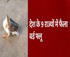  देश के 9 राज्यों में फैला Bird Flu, दिल्ली का सेंट्रल पार्क और संजय झील बंद | ABP Ganga 