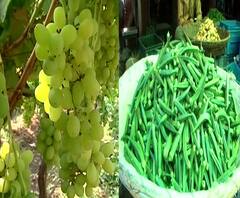 Corona New Strain Effect | कोरोनाच्या नव्या स्ट्रेनचा नाशिकच्या भाजीपाला उत्पादकांना फटका