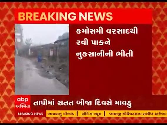 તાપી જિલ્લામાં સતત બીજા દિવસે કમોસમી વરસાદ, રવી પાકને નુકસાનની આશંકા