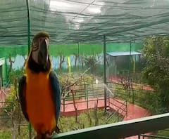 Bird Flu के बढ़ते प्रकोप के बीच , सारनाथ मिनी-जू में हाई अलर्ट, सैनिटाइजर का काम जोरो पर | ABP Ganga