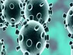 Relief for Mumbaikars as number of Coronavirus cases witnesses huge dip