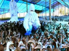 Maharashtra में Bird Flu के खिलाफ Action तेज, बनाई गई Rapid Response Teams