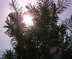 Mumbai Weather | देशात थंडी, मुंबईत उकाडा; ऐन हिवाळ्यात मुंबईकर घामाघूम