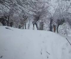 Uttarkashi में बर्फ में फंसे 12 लोगों को किया गया रेस्क्यू, सभी सुरक्षित | Uttarakhand 