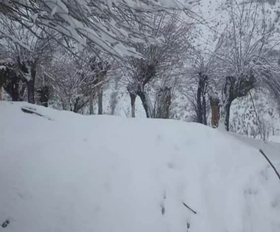 Uttarkashi में बर्फ में फंसे 12 लोगों को किया गया रेस्क्यू, सभी सुरक्षित | Uttarakhand 