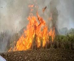 Kolhapur | आजरामध्ये शॉर्टसर्किटमुळे 60 एकरातील ऊस जळून खाक