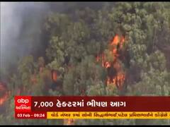 ઓસ્ટ્રેલિયાના પર્થમાં સાત હજાર હેક્ટરમાં ભીષણ આગ, 60 મકાનો બળીને ખાખ