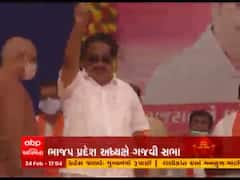 Surendranagar માં CR પાટીલે ભાજપનો કર્યો પ્રચાર, BJPને જીતાડવાની કરી અપીલ