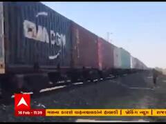 Amreli: રાજુલાના પીપાવાવ રેલવે ટ્રેક પર ટ્રેનની અડફેટે સિંહ ઇજાગ્રસ્ત, જુઓ વીડિયો