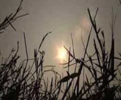 Weather Update: সামান্য চড়েছে পারদ, তবে উইকএন্ড কাটবে শীতের আমেজেই 