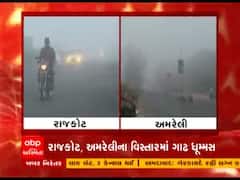 સૌરાષ્ટ્રના કેટલાક જિલ્લાઓમાં ગાઢ ધૂમ્મસના કારણે હાઈવે પર વીઝીબિલીટી ઘટી