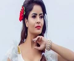 पॉर्नोग्राफिक व्हिडीओ प्रकरणी अभिनेत्री गहना वशिष्ठला अटक, वेब सीरिजच्या नावाखाली पॉर्नोग्राफी व्हिडीओ