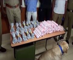 केरळमधील कोझीकोड रेल्वे स्थानकावर स्फोटकांचा साठा हस्तगत, विस्फोटकांप्रकरणी महिलेला अटक