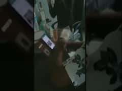 સાબરકાંઠામાં આ સરકારી ઓફિસમાં દારૂની મહેફિલ માણતા અધિકારીનો વીડિયો વાયરલ, જુઓ વીડિયો