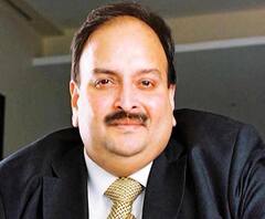 PNB Scam | मेहूल चोक्सीवर ईडीची मोठा करावाई; चोक्सीची 14 कोटी 45 लाखांची संपत्ती जप्त