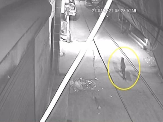 Delhi Leopard Sighting : दिल्ली के नजफगढ़ इलाके में तेंदुआ दिखने से दशहत