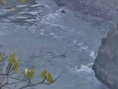 Glacier Collapse : Uttarakhand की बाढ़ में लखीमपुर खीरी के 60 मजदूर लापता