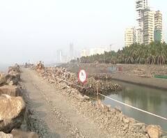 लोटस जेट्टीचा वापर मच्छिमारांना सहजपणे करता येणार, बांधकामामुळे नुकसान नाही, पालिकेची माहिती