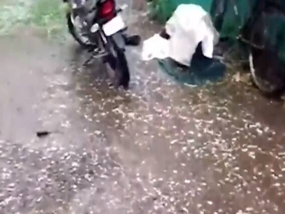 MP: रायसेन में तेज बारिश के साथ ओले गिरे, फसलों को भारी नुकसान