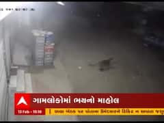 સુરતના માંડવીના બૌધાન ગામે રાત્રીના સમયે દેખાયો દીપડો, જુઓ વીડિયો 