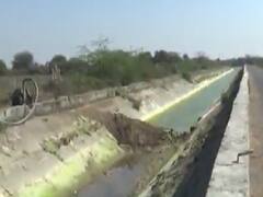 Mehsana માં બોલેરા કેનાલમાં લીકેજ થતા ખેડૂતોને નુકસાન, જુઓ વીડિયો