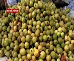 Special Report | साडेतीन एकरात तब्बल 40 टन डाळींब ; सोलापुरातल्या शेतकऱ्याला कष्टाचं 'फळ'