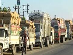 Rajkot: ગોંડલ યાર્ડમાં ધાણાની રેકોર્ડ બ્રેક આવક, દોઢ કિમી સુધી વાહનોની લાગી લાઇન