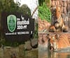 Rani Baug Zoo | आजपासून राणीची बाग अनलॉक! शक्ती आणि करिश्मा वाघीण आकर्षण