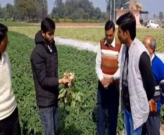 किसान का कमाल, इंजीनियर बेटे के साथ मिलकर उगा दिए 13 तरह के आलू ! | Satte Pe Satta 
