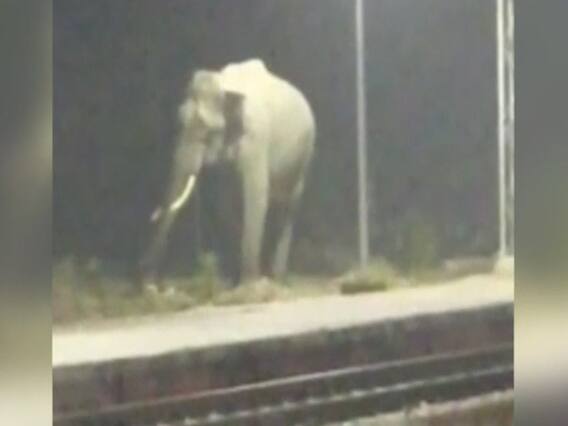 Haridwar : जब Railway Station पर पानी की तलाश में पहुंचा हाथी 
