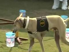 कोरोना के खिलाफ सेना की नई 'फौज'!